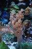 DSC_1771.JPG