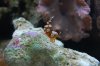DSC_0956.JPG