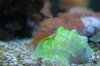 DSC_2097.JPG