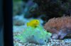DSC_2218.JPG