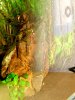 DSCF2353a.JPG
