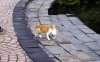 016 - Mitten in der City.JPG