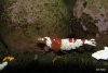 Bild8 Red Bee.jpg