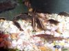 100_3735.JPG