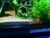 BILD1804.JPG