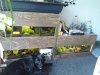 DSC01047.JPG