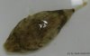 RIMG0148verkl.(c).jpg
