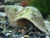 Aquarium6.jpg