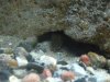 Aquarium4.jpg