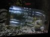Aquarium3.jpg