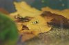 DSC_1898.JPG