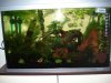 DSC03818.JPG