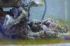 Nummer2_24072010_2.jpg