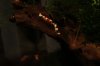 resized_IMG_3393.jpg
