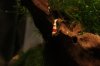 resized_IMG_3399.jpg
