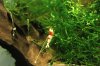 resized_IMG_3457.jpg