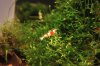 resized_IMG_3472.jpg
