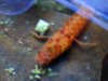 BILD2043.JPG