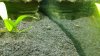 20100813_004.jpg