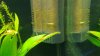 20100816_003.jpg