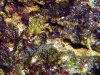 P1210358r.jpg