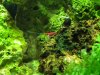 DSCF0743.JPG