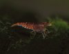 DSC_0759.JPG