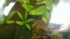 20100828_001.jpg