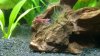 20100827_010.jpg