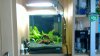 20100827_008.jpg