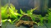20100901_001.jpg