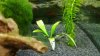 20100901_004.jpg