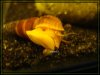 comp_DSC02450.jpg