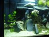 aquarium 002.JPG