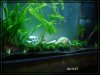 comp_DSC02452.jpg