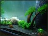 comp_DSC02453.jpg