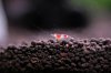 phoca_thumb_l_IMG_9149%20(Custom).jpg