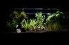 phoca_thumb_l_IMG_9107.jpg