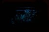 phoca_thumb_l_IMG_9111.jpg