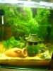 bild 1 aquarium.JPG
