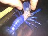 Bild3130.jpg