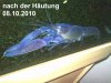 Bild3143klein.jpg