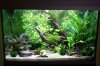 AquaArt 04.jpg