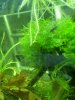 60l 2_2.JPG