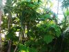 0408 048r.jpg
