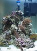 MarineCube60l (2).jpg
