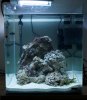 MarineCube60l (1).jpg
