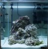 MarineCube60l.jpg