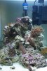 MarineCube60l (4).jpg