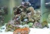 Cube60l.jpg